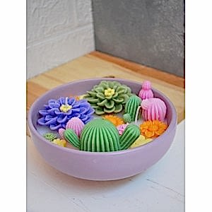 Sukulent Kokulu Çanak Mum Dekoratif Çift Fitilli Çanak Mum