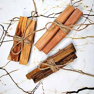 2 Adet 20 Gr Palo Santo Tütsü ve Silver Beton Döküm Konik Tütsülük Camel